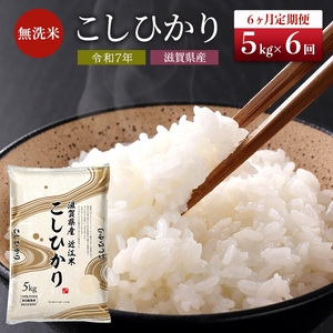 コシヒカリ お米 5kg 無洗米 定期6ヶ月 コシヒカリ