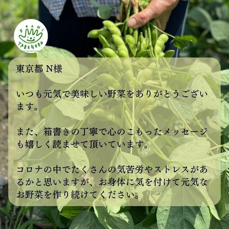 『定期便』野菜詰め合わせセット6ヵ月