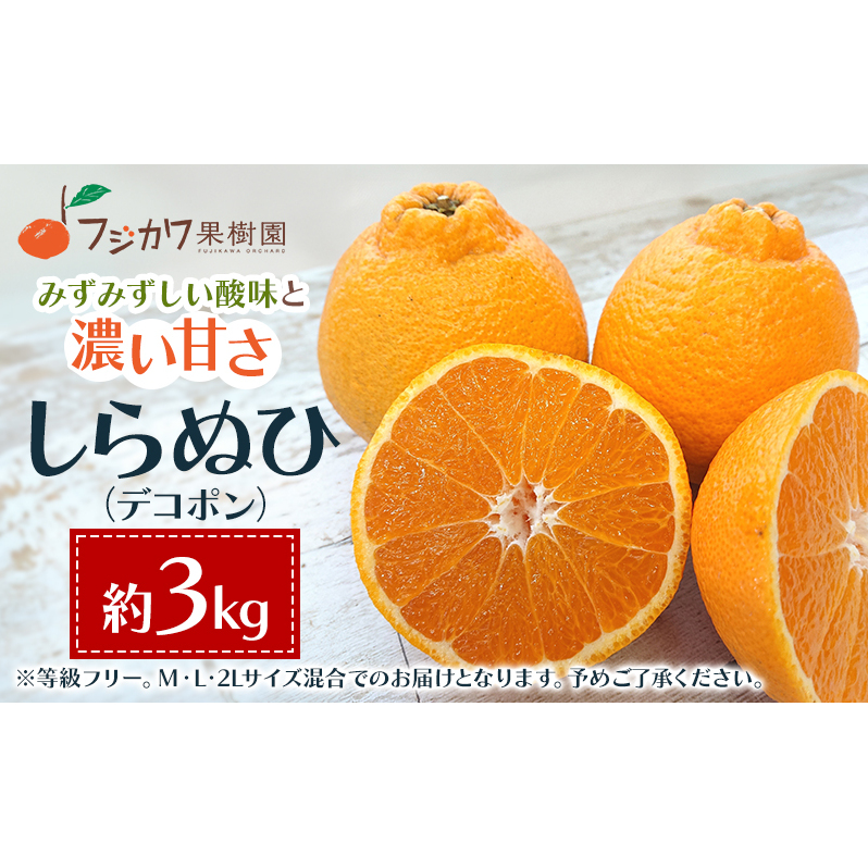 2026年先行予約 味自慢！讃岐 しらぬひ　約3kg 果物類 みかん 柑橘類 デコポン　 