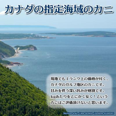 ふるさと納税 亘理町 ボイル ずわいがに 切れ目入 1kg 化粧箱入り |  | 03