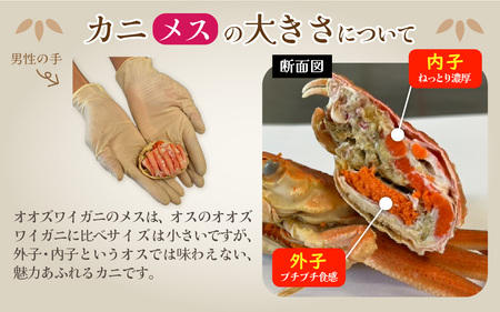 【訳あり】オオズワイガニメス甲羅盛 甲羅盛55g前後 2個セット [A-096017] / ズワイガニ