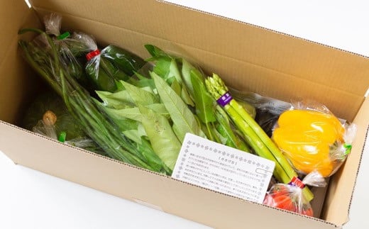 【季節定期便】UIC 名水うきはの無農薬減農薬お野菜セット (季節ごとに1箱×4回=年4回)