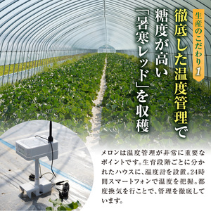 北海道メロン 暑寒レッド 2玉 (3.2kg以上×1箱) 2026年9月発送赤肉  果物 フルーツの王様 春 夏 秋 冬 御中元 フルーツ 生ハム パフェ ケーキ デザート メロン ピューレ めろん 