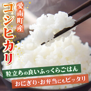 【令和7年産 先行予約】新米 令和7年産 コシヒカリ 5kg 米 お米 コメ 白米 精米  愛媛県 愛南町 