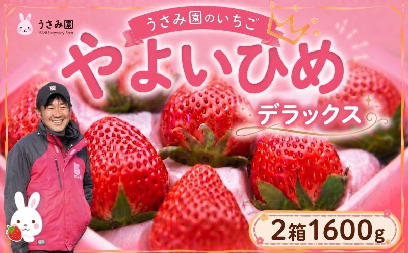 
                  【2027年1~3月発送】 いちご やよいひめ デラックス 2箱 計1600g いちご イチゴ 苺 ichigo いちご イチゴ 苺 ichigo いちご イチゴ 苺 ichigo いちご イチゴ 苺 ichigo いちご イチゴ 苺 ichigo いちご イチゴ 苺 ichigo いちご イチゴ 苺 ichigo いちご イチゴ 苺 ichigo いちご イチゴ 苺 ichigo いちご イチゴ
                