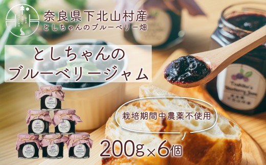【先行予約】9月～順次発送 としちゃんのブルーベリージャム200gx6個 手摘み 下北山村産 無農薬 無添加