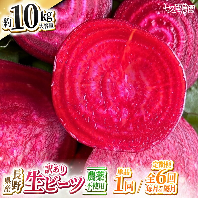 【ふるさと納税】訳あり ビーツ 約10kg 【 お試し 1回 or 6回 定期便 】| 野菜 ビーツ レッドパワー レッドパワービーツ 定期 長野県 信州 南信州 飯田市