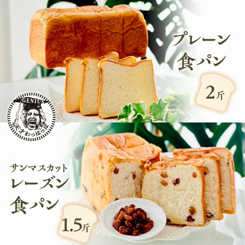 【ふるさと納税】 プレーン 食パン 2斤 ＆ サンマスカット レーズン 食パン 1.5斤 パン ぱん 食パン ブレッド おいしい 朝食 朝ごはん 朝  数量限定 訳あり ふるさと納税 ふるさと 人気 おすすめ 送料無料 兵庫県 三田市 [3d28bae530014]