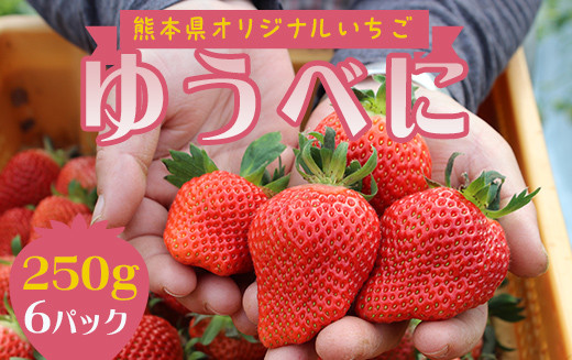 
            FKP9-540 【先行予約】球磨村産いちご/ゆうべに 3箱 (250g×6パック)
          
