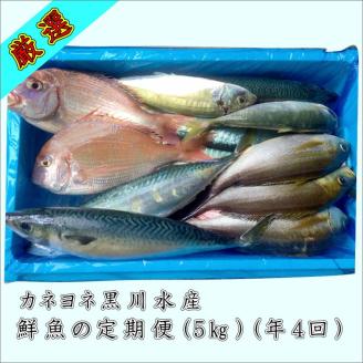 【8002-2】御坊産鮮魚セット 5kg 【定期便】(年4回お届け)【配送不可地域】沖縄・北海道・東北・九州