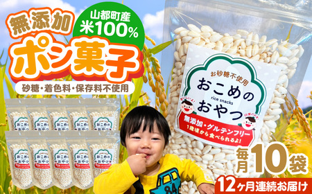 【全12回定期便】おこめのおやつ 10袋セット【株式会社キゴコロ】[YDZ007]