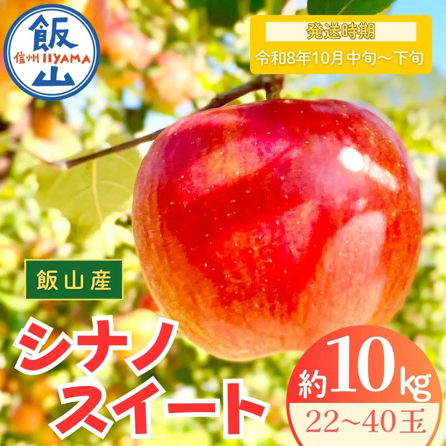【シナノスイート】りんご 約10kg（22～40玉）2026年10月中旬より発送 先行予約 | リンゴ At-013