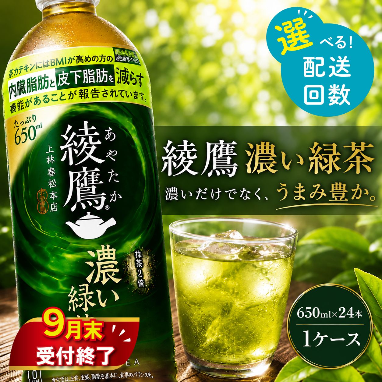 【ふるさと納税】 綾鷹 濃い緑茶 650ml x 24本 1ケース 定期便 選べる 配送回数 1回/3回/6回 ペットボトル PET お茶 緑茶 日本茶 茶葉 旨み カテキン カフェイン 飲料 ドリンク 飲み物 ケース まとめ買い 箱買い 箱 常備 備蓄 コカコーラ 神奈川 海老名 9月末掲載終了