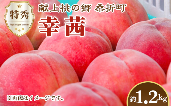 もも【幸茜・2026年産】特秀1.2kg　桑折町産　JAふくしま未来　桃 No.228