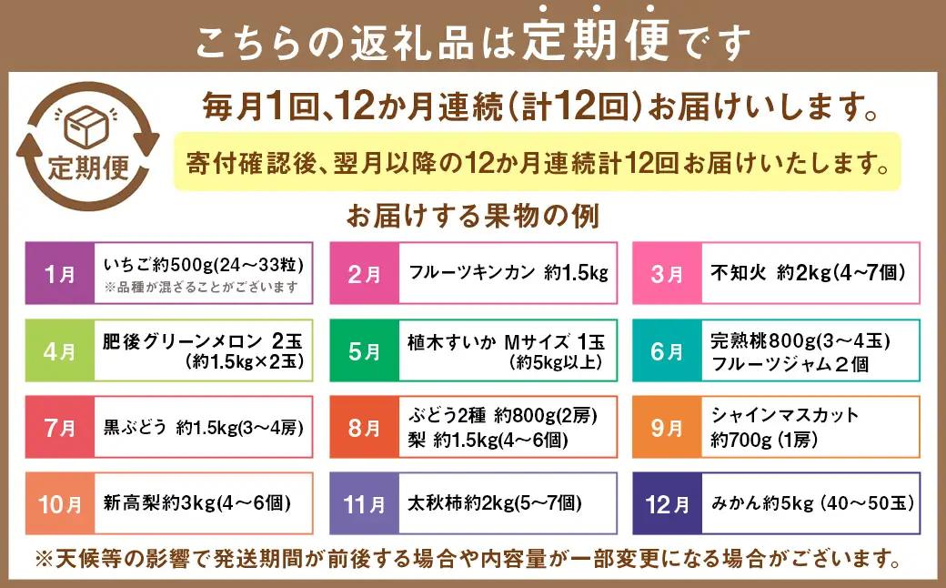 【12カ月定期便】熊本フルーツ定期便12カ月｜果物 くだもの 苺 いちご みかん 柑橘 メロン すいか 桃 ぶどう 梨 柿 みかんジュース