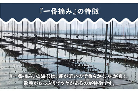 【おつまみに最適！】佐賀県有明海産 一番摘み海苔セット（わさびのり5袋入り）【松尾水産】 [IAY006]