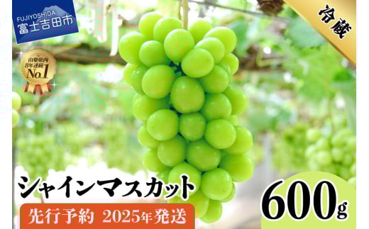 【2025年先行予約】山梨県産 シャインマスカット 600g フルーツ シャインマスカット 果物 旬 高級 山梨 富士吉田市