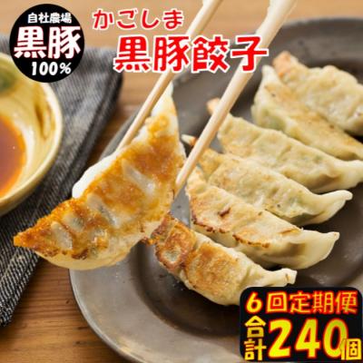ふるさと納税 薩摩川内市 【6回定期便】かごしま黒豚餃子 合計240個 ES-503 | 