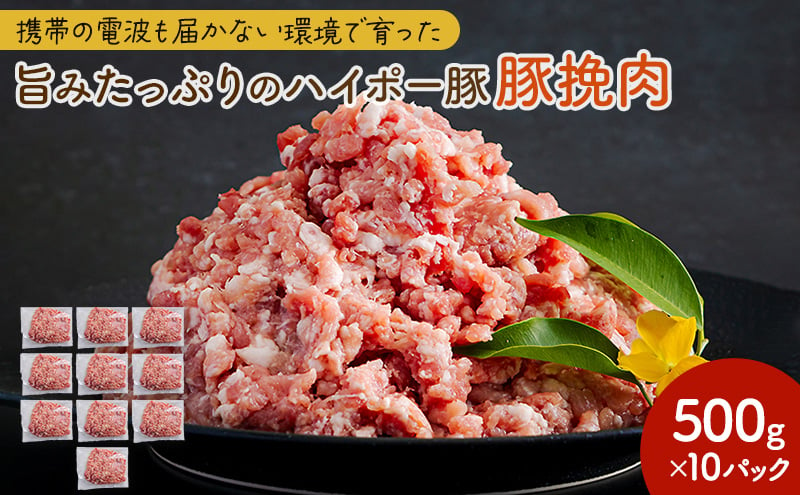 
            [№5681-0151]豚肉 山口県産 豚挽肉 500g×10パック 小分けセット | 携帯の電波も届かない環境で育った旨みたっぷりのハイポー豚 ひき肉 挽肉 豚 肉 お肉 ※配送不可:離島
          