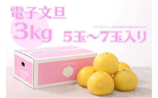 ハッピーフルーツ果樹園の電子文旦3kg贈答用