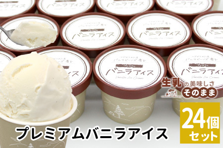 〈1週間以内発送〉マダガスカル産 バニラビーンズ香る バニラアイスクリーム 24個 80ml 生乳 牛乳 ミルク スイーツ アイスクリーム バニラビーンズ 12000円 プレミアム バニラアイス デザート