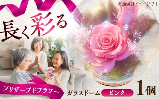 プリザーブドフラワー　ガラスドーム (ピンク) / ピンク プリザーブドフラワー ギフト 花 フラワー 植物 お花 贈り物 ガラスドーム【株式会社 美向】 [BHDC006]