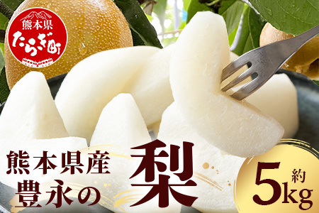 先行予約【2025年7月下旬～発送分】熊本県産 梨 約5kg 幸水 梨 幸水 新高 梨 新高 新興 梨 新興 豊水 梨 豊水 秋月 梨 秋月 秋麗 梨 秋麗 果物 くだもの フルーツ 旬 旬の果物 旬のフルーツ 甘い ジューシー フルーツ熊本県 熊本県産 多良木 多良木町 070-0592