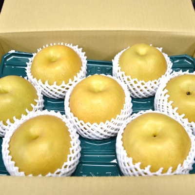 【数量限定】館山齊藤果樹園の完熟梨「新高(にいたか)」6〜9個【1534578】
