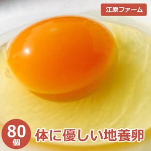 江原ファーム　体に優しい地養卵 80個 割れ補償 |  卵 たまご タマゴ _AG05