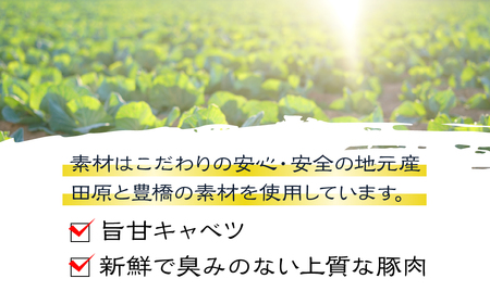 夏目家の丸もち餃子  〈1パック（12個入）＋おまけ〉丸もち餃子 夏目家 餃子 訳あり セット 定期便 惣菜 ぎょうざ 愛知県 豊橋市