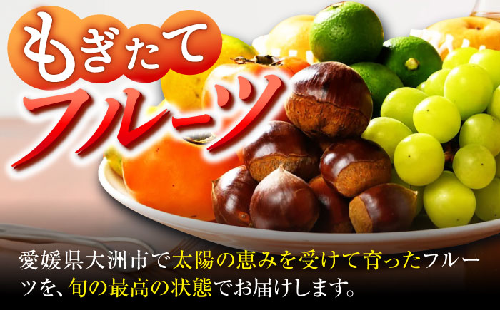 【シェフの目線】　野菜×フルーツセット 6から7種　単身・二人暮らし用セット　愛媛県大洲市/有限会社ヒロファミリーフーズ 野菜 果物 やさい 少量セット 食べきり [AGBX047]