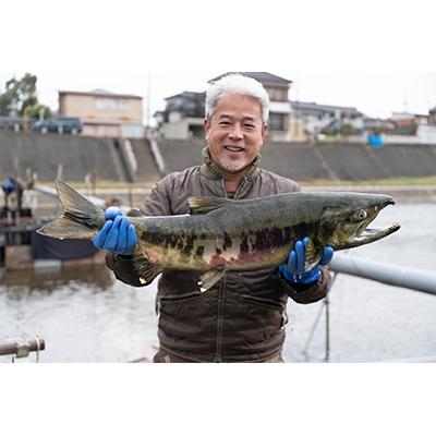 ふるさと納税 加茂市 新潟県加茂産　植酸栽培コシヒカリ「伝」5kg(精米・脱酸素剤入) |  | 02