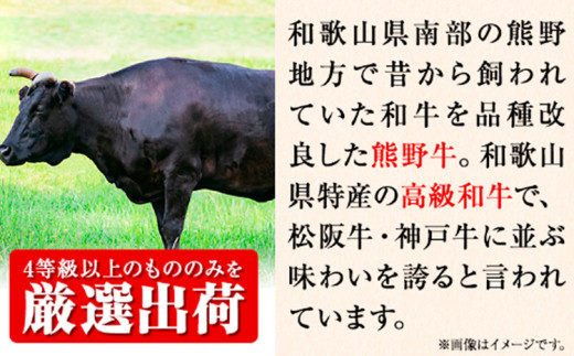 和歌山産 高級和牛 熊野牛 ロースしゃぶしゃぶ用 約700g エバグリーン《30日以内に出荷予定(土日祝除く)》 和歌山県 岩出市 牛 うし 牛肉 熊野牛 和牛 高級