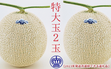 ★発送月選択できる返礼品★ 『クラウンメロン（白等級）特大玉 2玉』  メロン 人気 厳選 ギフト 贈り物 デザート グルメ 袋井市 2026年6月発送