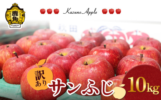 《 先行予約 》訳あり 鹿角りんご「サンふじ」10kg（36～40玉前後）【佐藤秀果園】●2026年12月上旬発送開始 リンゴ 林檎 家庭用 訳あり みずみずしい 果汁 完熟 旬 県産りんご お中元 お歳暮 贈り物 お見舞い グルメ ギフト 故郷 秋田 あきた 鹿角市 鹿角 送料無料