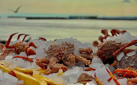 【極生食感】イバラガニ トロ刺し《200g×2p》約4～5人前 ABJ020