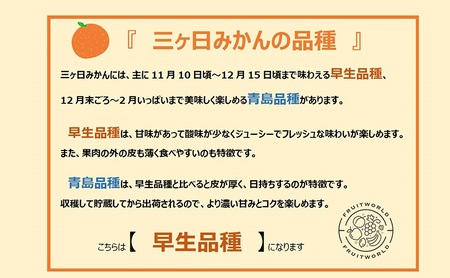 【2025年11月中旬より順次発送】『訳あり』 三ヶ日みかん 早生 2.5kg みかん ミカン 果物 柑橘 フルーツ 訳あり 静岡 浜松市
