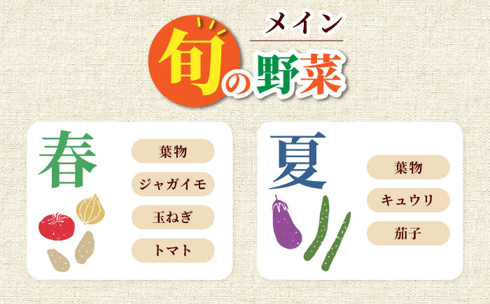 大村産とれたてお野菜おまかせセット(8～10種) 大村市 かとりストアー [ACAN015]