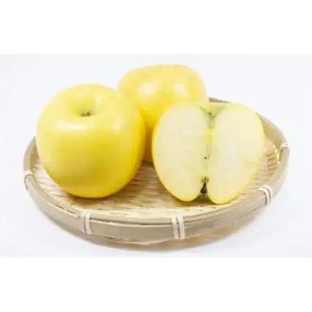 長野県産 りんご　シナノゴールド　約1.5kg(3～5玉程度)【1541949】