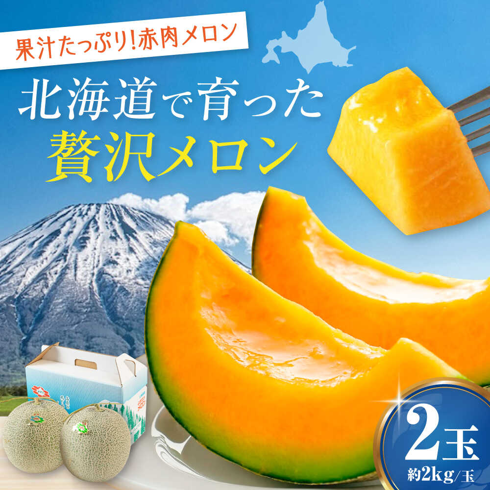 【ふるさと納税】先行予約 数量限定 赤肉メロン 2kg 2玉 《喜茂別町》【Aコープようてい】 先行予約 数量限定 メロン 赤肉 フルーツ 果物 贈答用 北海道 北海道産 産地直送 [AJAK024] 16000 16000円