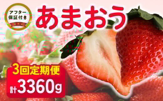 【いちごの定期便】福岡県産 あまおう 合計3,360g (2月・3月・4月の3回 1,120g(280g×4パック))_【定期便】福岡県産 あまおう 2月 3月 4月 3回お届け 1,120g 280g × 4パック 計 3,360g  いちご 果物 アレンジ おやつ お菓子 苺タルト クッキー スイーツ スムージー ジャム お取り寄せ 福岡県 久留米市 送料無料_Fi035