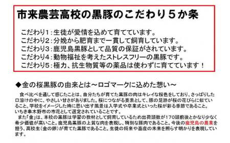 ESSEふるさとグランプリ2023金賞受賞!!お試し！金の桜黒豚（ロース＆バラ）各300g 黒豚しゃぶしゃぶ 地元高校生が育てた「金の桜黒豚」のしゃぶしゃぶ♪　黒豚ロースしゃぶしゃぶ・黒豚バラしゃぶし