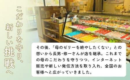 ゼリー 【ゼリーのイエ】12個（6個×2箱）セット いわき市 【ZR001】