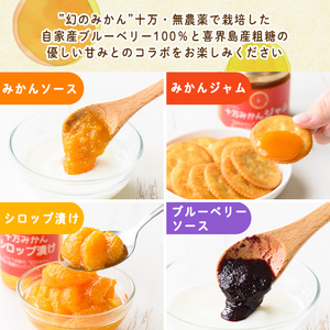 s524 ≪毎月数量限定≫田野農園加工品4種セット(ブルーベリーソース・十万みかん加工品(シロップ漬け・ソース・ジャム)各1個・計4個)【田野農園】