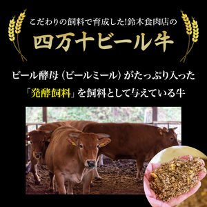 四万十麦酒牛 厚切り特選焼き肉セット（500g）  モモ ウデ バラ肉 肩ロース 詰め合わせ 霜降り 赤身 焼き肉 麦酒牛 冷凍 ／Asz-07