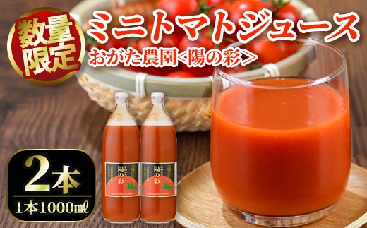 
                  ＜おがた農園のミニトマトジュース＞ 陽の彩 ー ひのいろ ー (1000ml×2本) トマト ミニトマト ジュース トマトジュース ミニトマトジュース 飲料 甘味 酸味 野菜 ギフト プレゼント【おがた農園】【B7040】
                