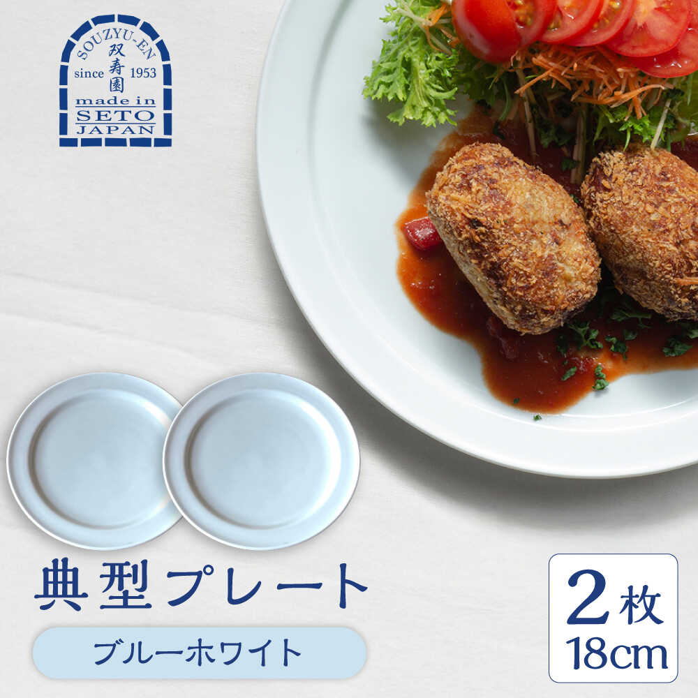 【ふるさと納税】【瀬戸焼】 典型プレート 6寸皿2枚セット　【カラー：ブルーホワイト】 食器 お皿 セット 瀬戸市 / 双寿園[BBBI010]