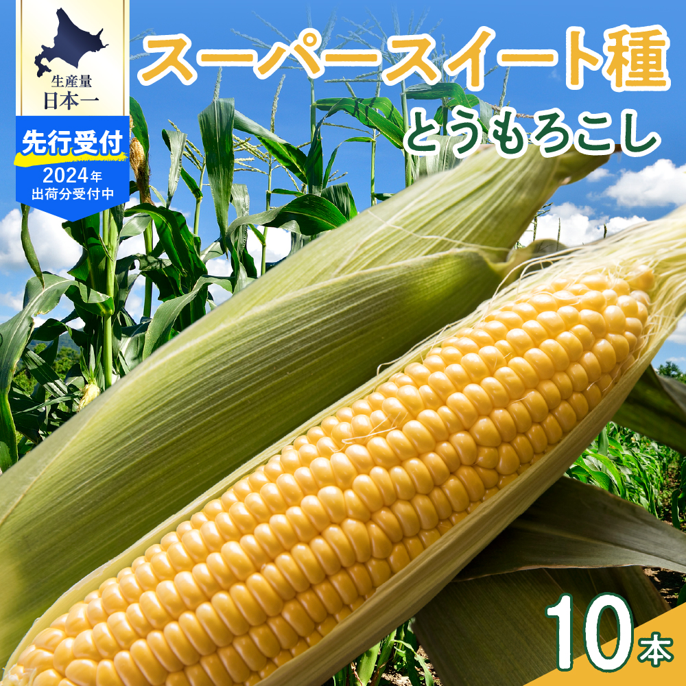 【2024年先行予約】北海道十勝芽室町 スーパースイート種 とうもろこし 10本 me050-001-24c