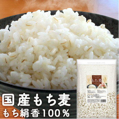 【ふるさと納税】栃木県産もち絹香 800g×5袋【1559028】