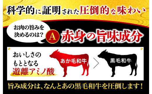 熊本県産 あか牛 モモステーキ 合計500g (250g×2パック) 和牛 牛肉